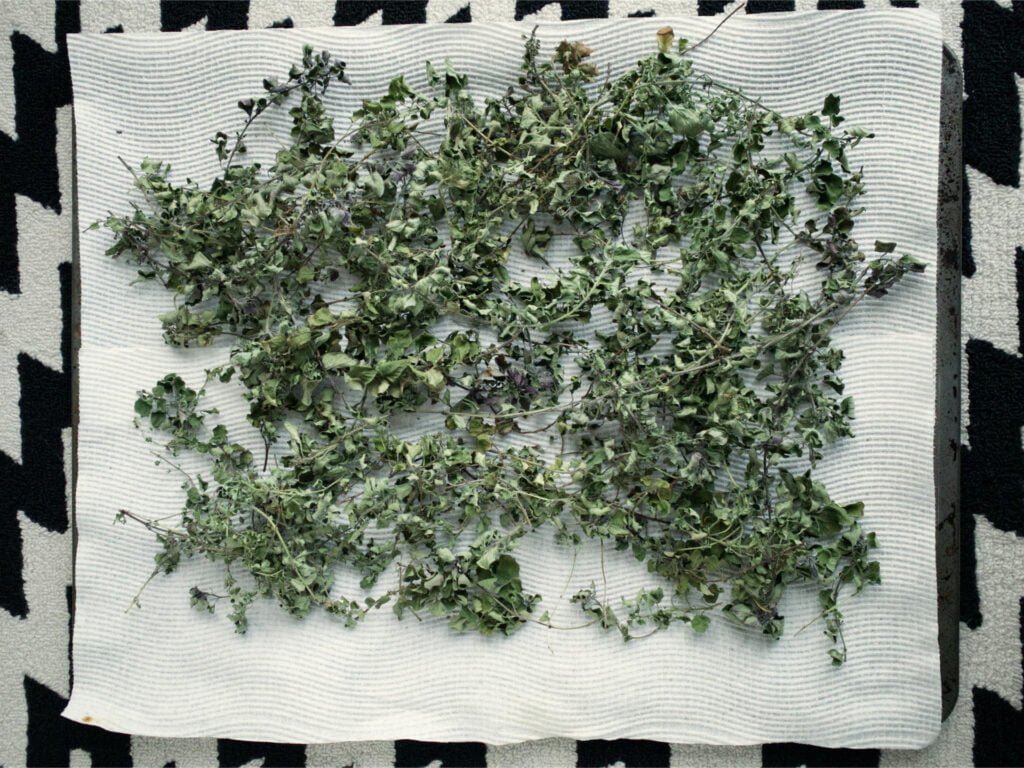 Branches of dried oregano sitting atop a baking tray lined with paper towel